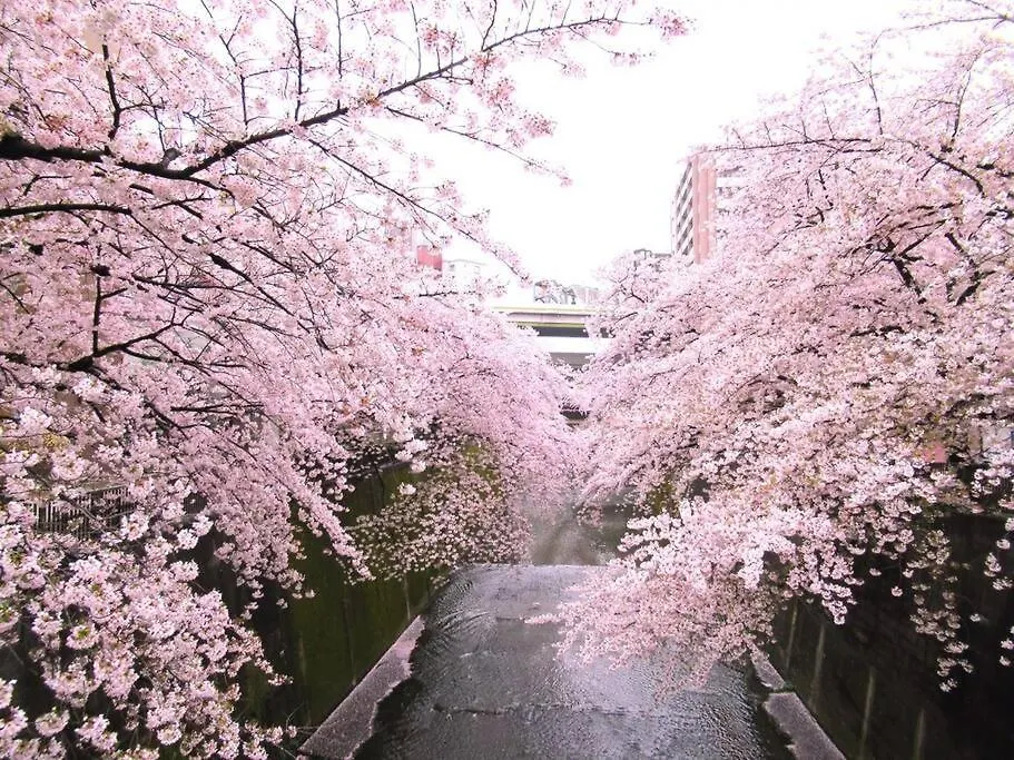 Itabashi Cask Village Tokyo